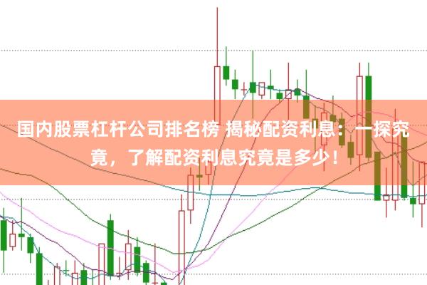 国内股票杠杆公司排名榜 揭秘配资利息：一探究竟，了解配资利息究竟是多少！