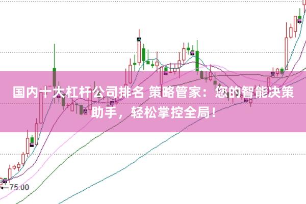 国内十大杠杆公司排名 策略管家：您的智能决策助手，轻松掌控全局！