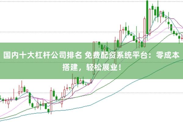 国内十大杠杆公司排名 免费配资系统平台：零成本搭建，轻松展业！