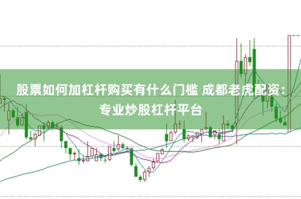 股票如何加杠杆购买有什么门槛 成都老虎配资：专业炒股杠杆平台