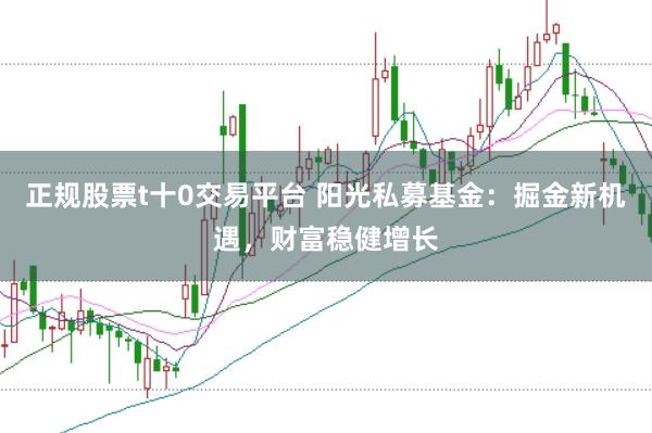 正规股票t十0交易平台 阳光私募基金：掘金新机遇，财富稳健增长