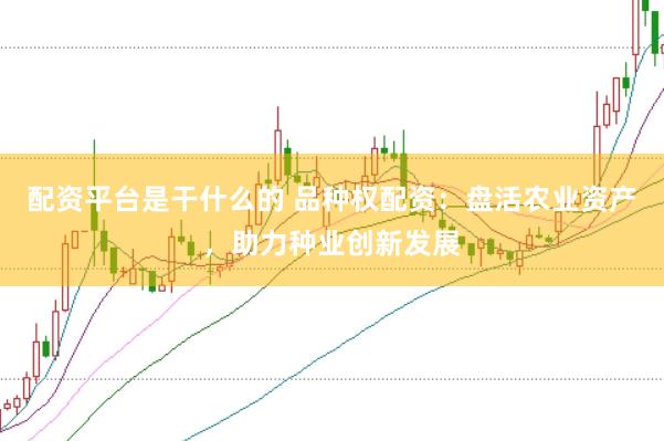 配资平台是干什么的 品种权配资：盘活农业资产，助力种业创新发展