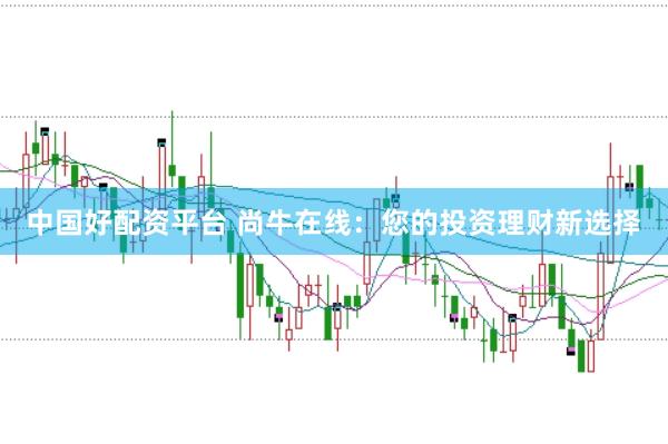 中国好配资平台 尚牛在线：您的投资理财新选择