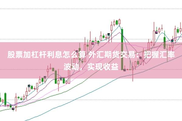 股票加杠杆利息怎么算 外汇期货交易：把握汇率波动，实现收益