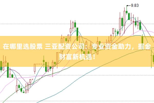 在哪里选股票 三亚配资公司：专业资金助力，掘金财富新机遇！