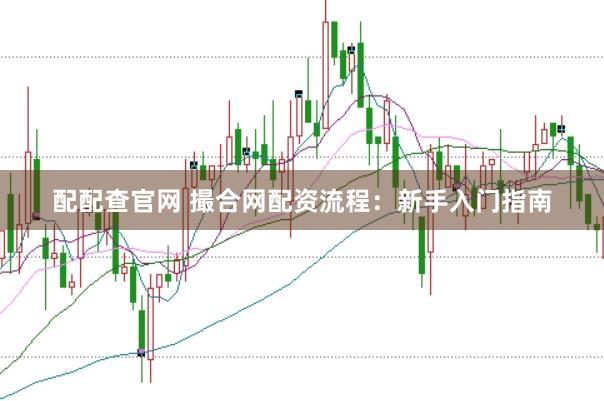 配配查官网 撮合网配资流程：新手入门指南