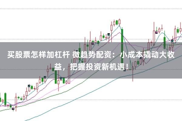 买股票怎样加杠杆 微趋势配资：小成本撬动大收益，把握投资新机遇！
