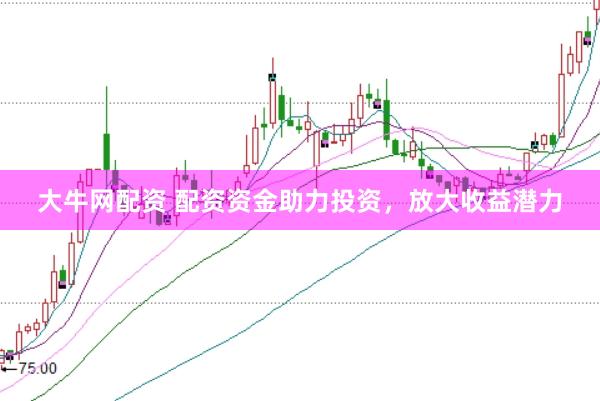 大牛网配资 配资资金助力投资，放大收益潜力