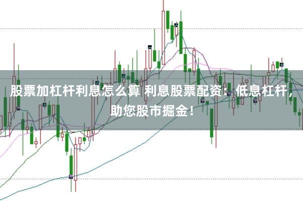股票加杠杆利息怎么算 利息股票配资：低息杠杆，助您股市掘金！