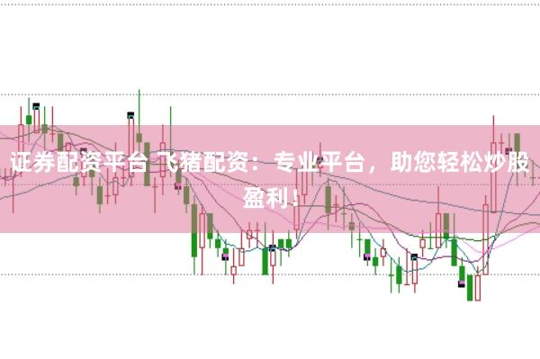 证券配资平台 飞猪配资：专业平台，助您轻松炒股盈利！