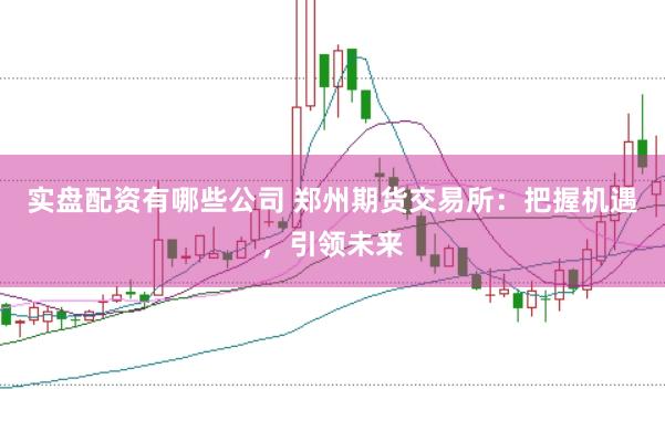 实盘配资有哪些公司 郑州期货交易所：把握机遇，引领未来