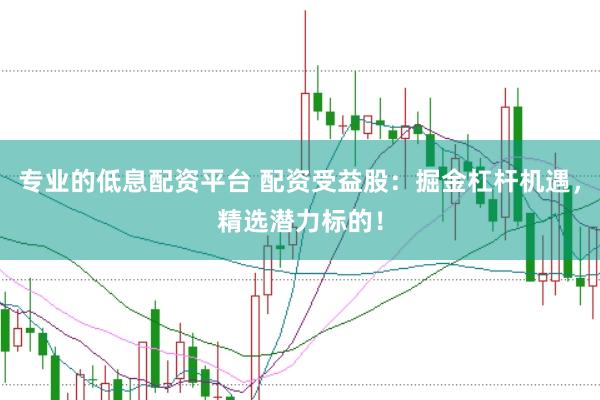 专业的低息配资平台 配资受益股：掘金杠杆机遇，精选潜力标的！